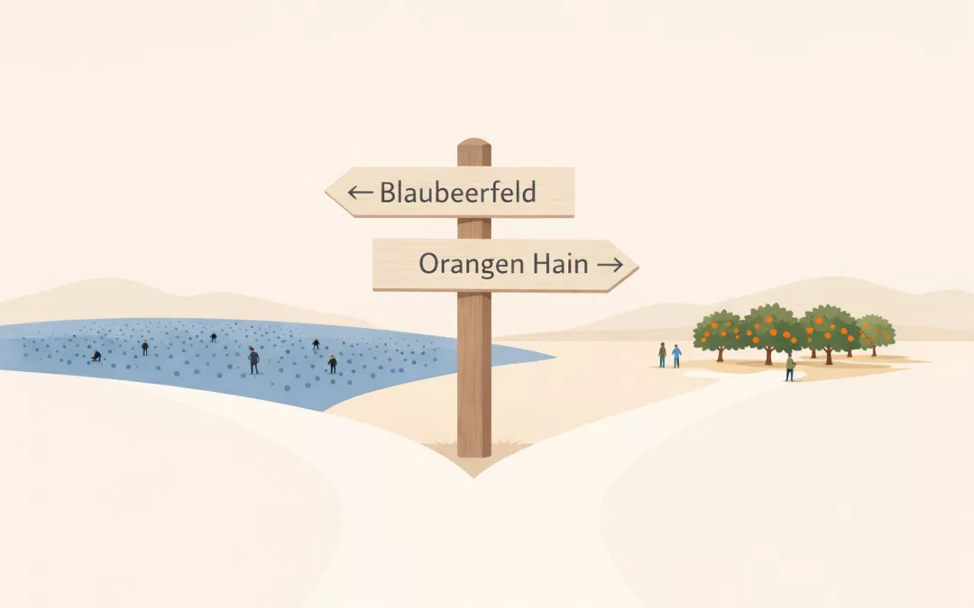 Wenn du Orangen willst, such nicht im Blaubeerfeld